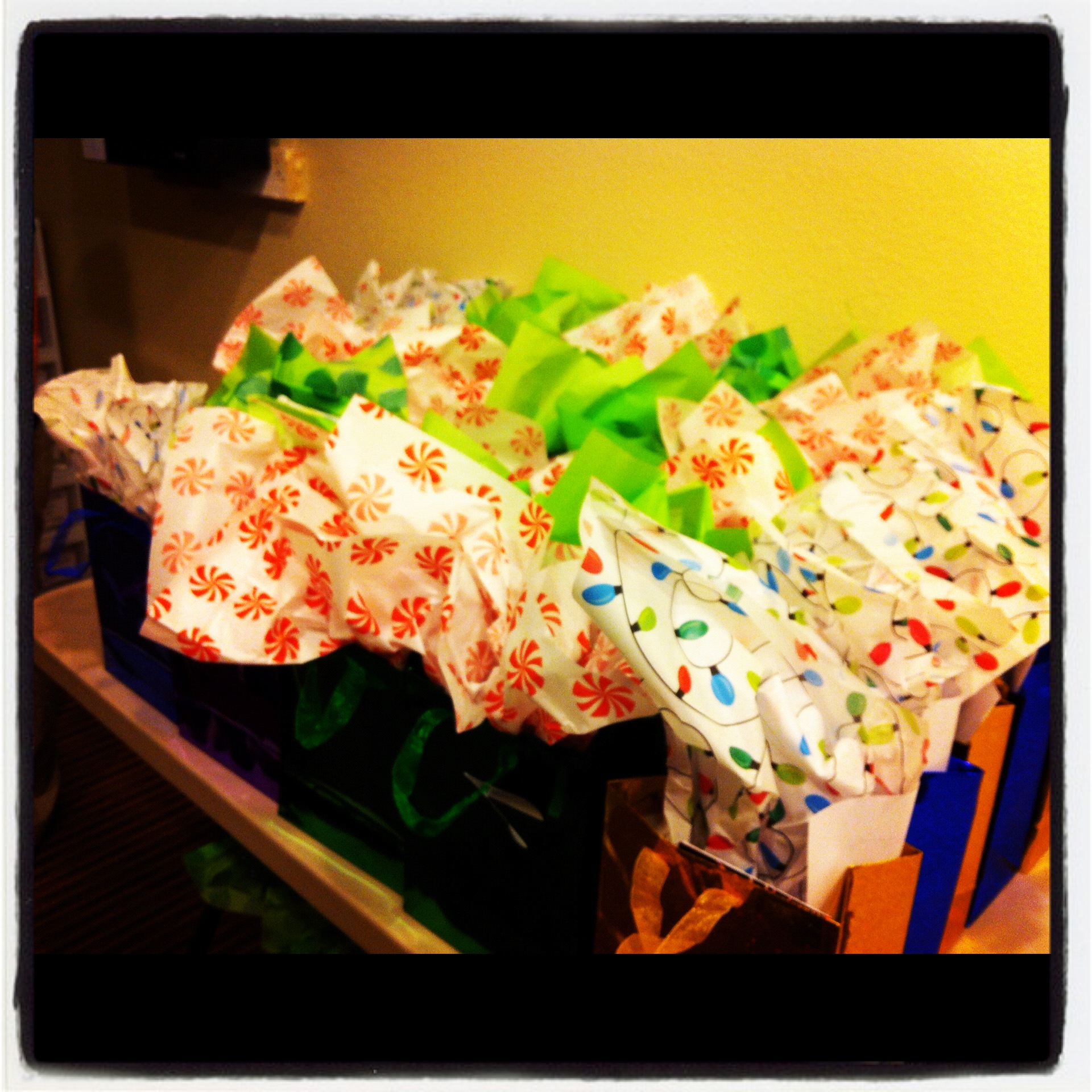 Guest Gift Bags