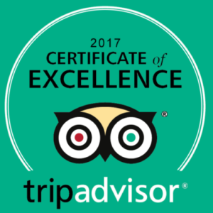 Holiday Inn Alexandria and Best Western 2017 Winners TripAdvisor Certificate of Excellence